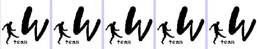 teamWS