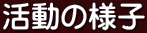 活動の様子 